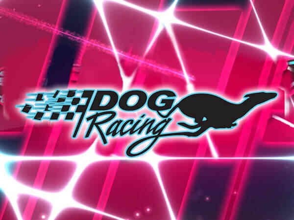 Dog Racinug